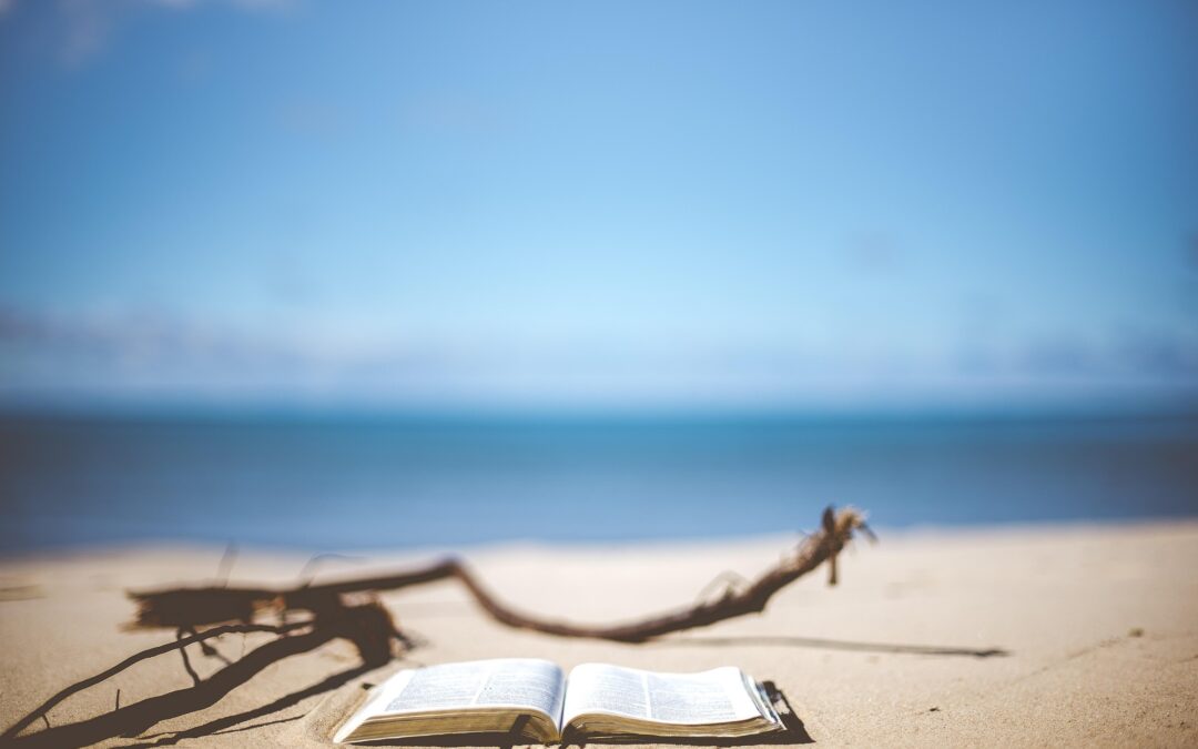 Best Beach Reads: 5 Escapist Summer Novels